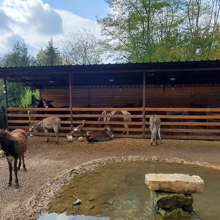 Resort Cuki
